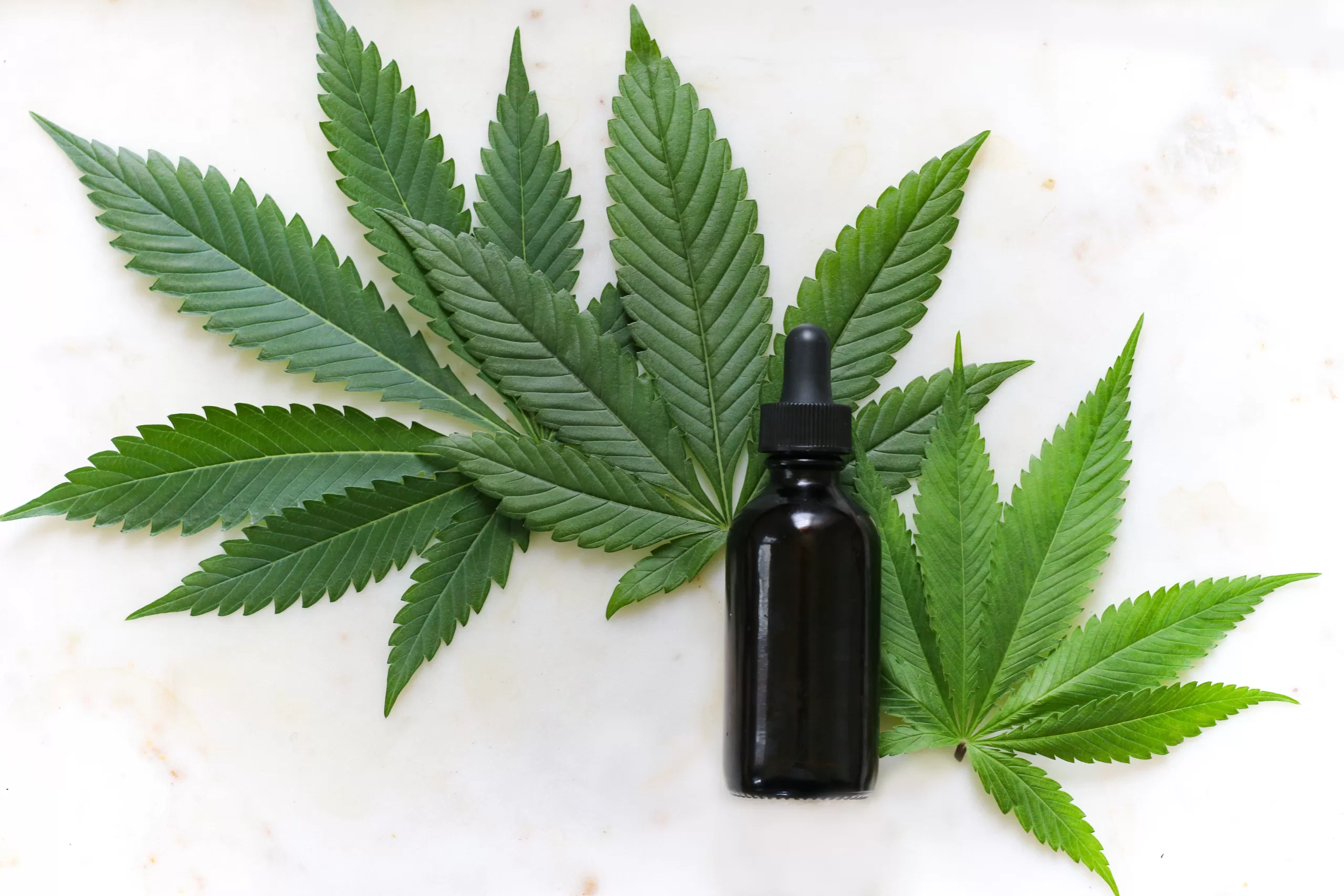 Cannabinoids Series: CBD has medicinal properties that are being studied by medical science researchers.
